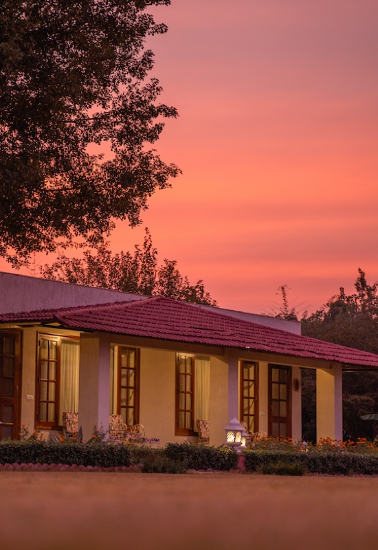 Sariska Safari Lodge twilight beauty