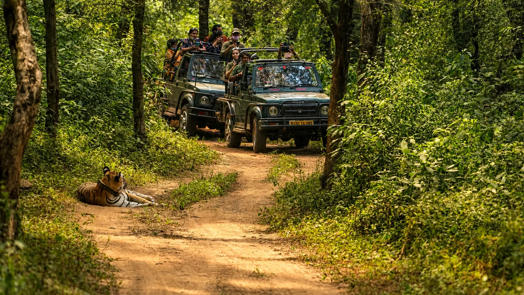 Sariska Reserve Landscape