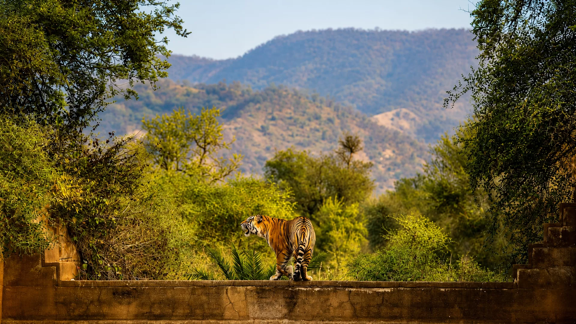 Ancient Aravalli Vistas Layer