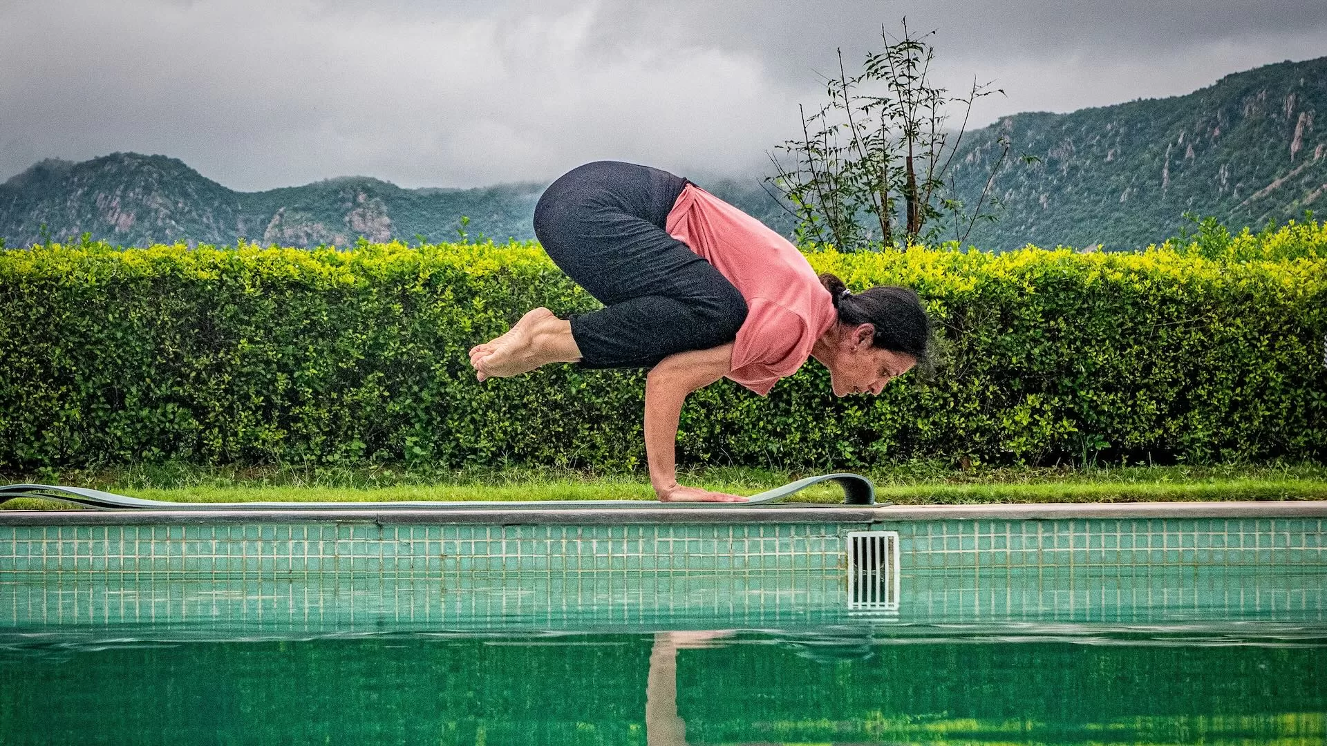 The Forest Chronicles Wellness Retreat